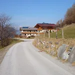 Eisbauer *