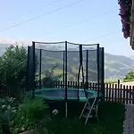 Eisbauer Sankt Johann im Pongau