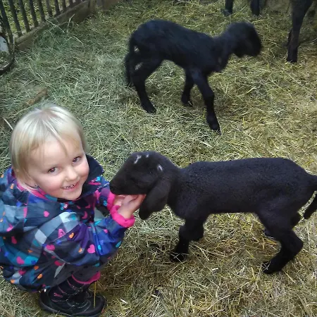 Фермерский дом Eisbauer Санкт-Йохан