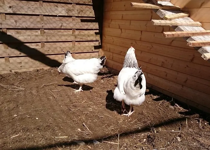 ファームステイ Eisbauer ザンクト・ヨーハン・イム・ポンガウ