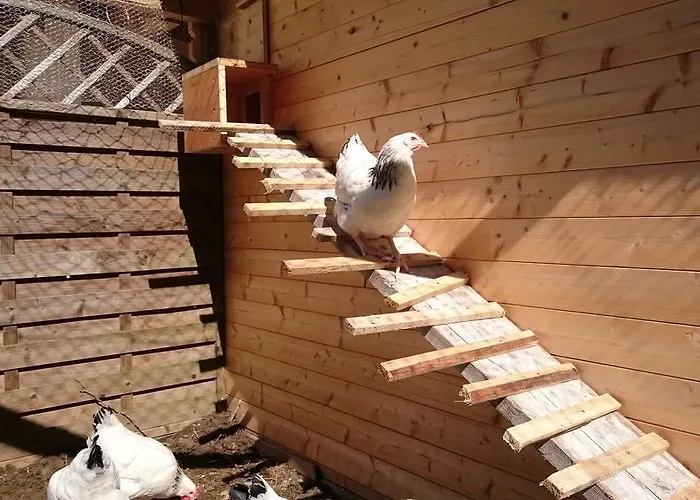 Eisbauer ザンクト・ヨーハン・イム・ポンガウ