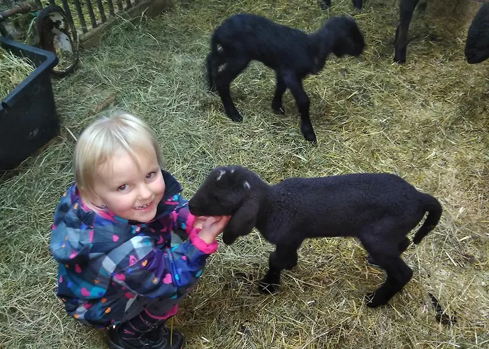 ファームステイ Eisbauer ザンクト・ヨーハン・イム・ポンガウ
